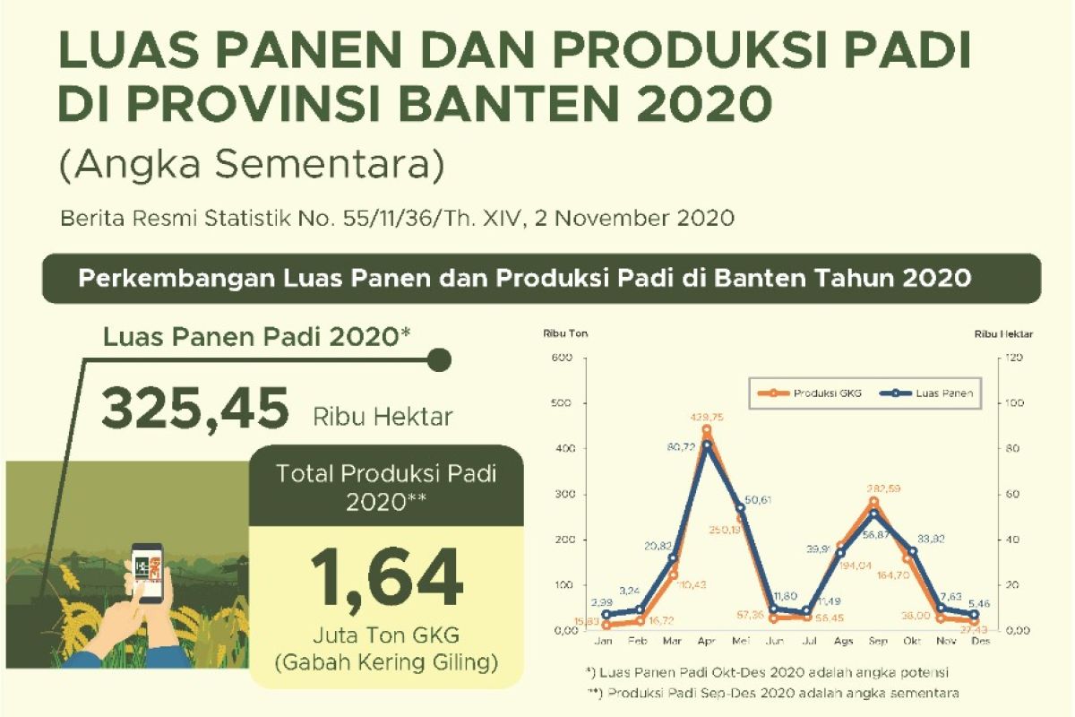 Luas panen dan produksi padi di Banten 2020 diperkirakan naik