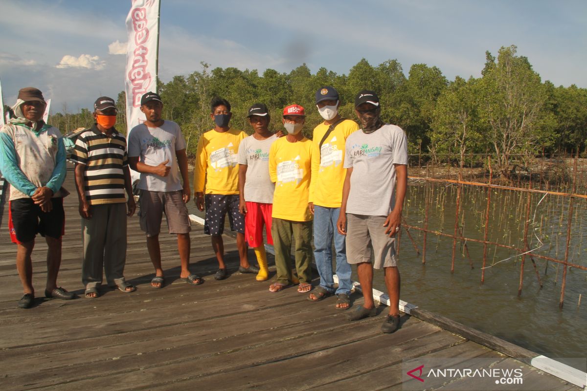 Bertanam Mangrove Dibalik Pagar Jaring Nylon