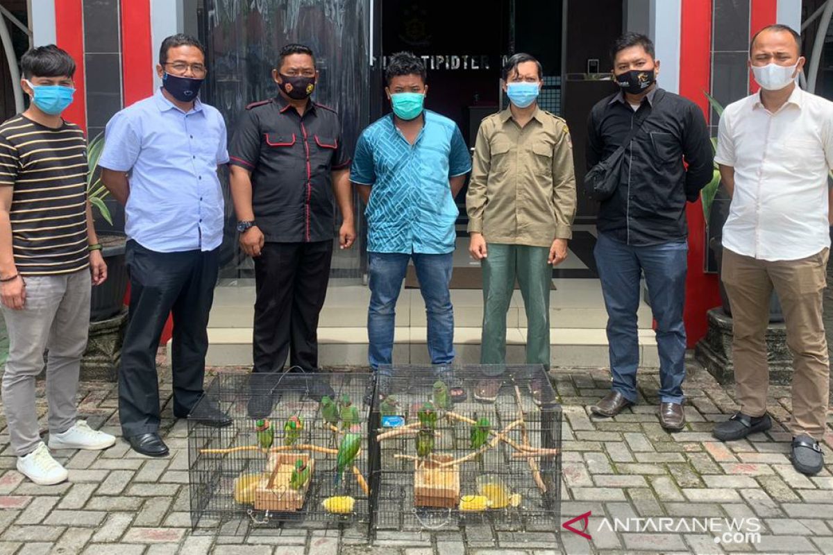 Police uncover illegal trade in parrots