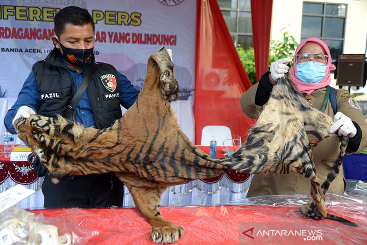 Polri gagalkan perdagangan satwa dilindungi