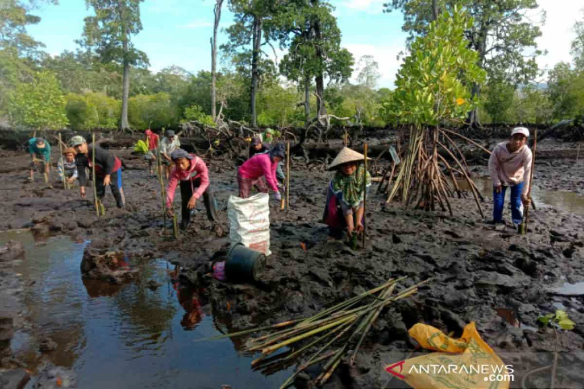 BKSDA Sultra-BPDASHL membantu ekonomi warga melalui PKPM saat pandemi