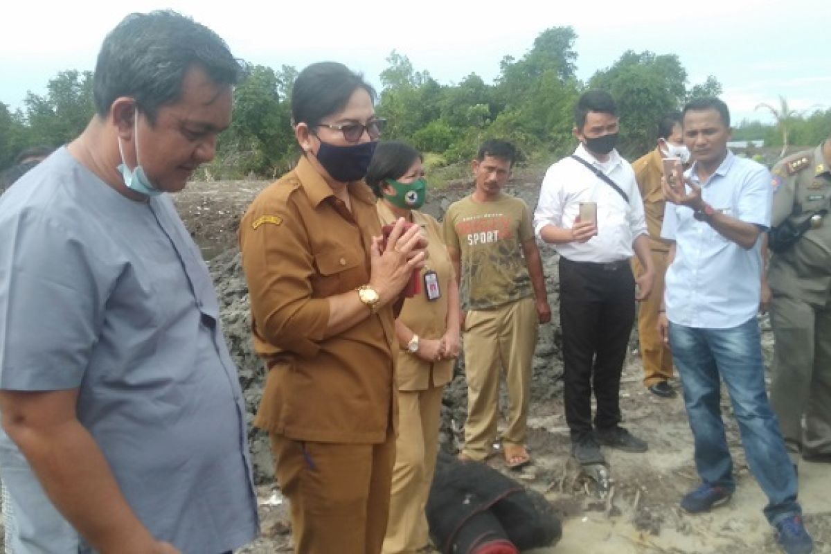 Pemkot Gunungsitoli minta masyarakat hentikan penebangan  mangrove