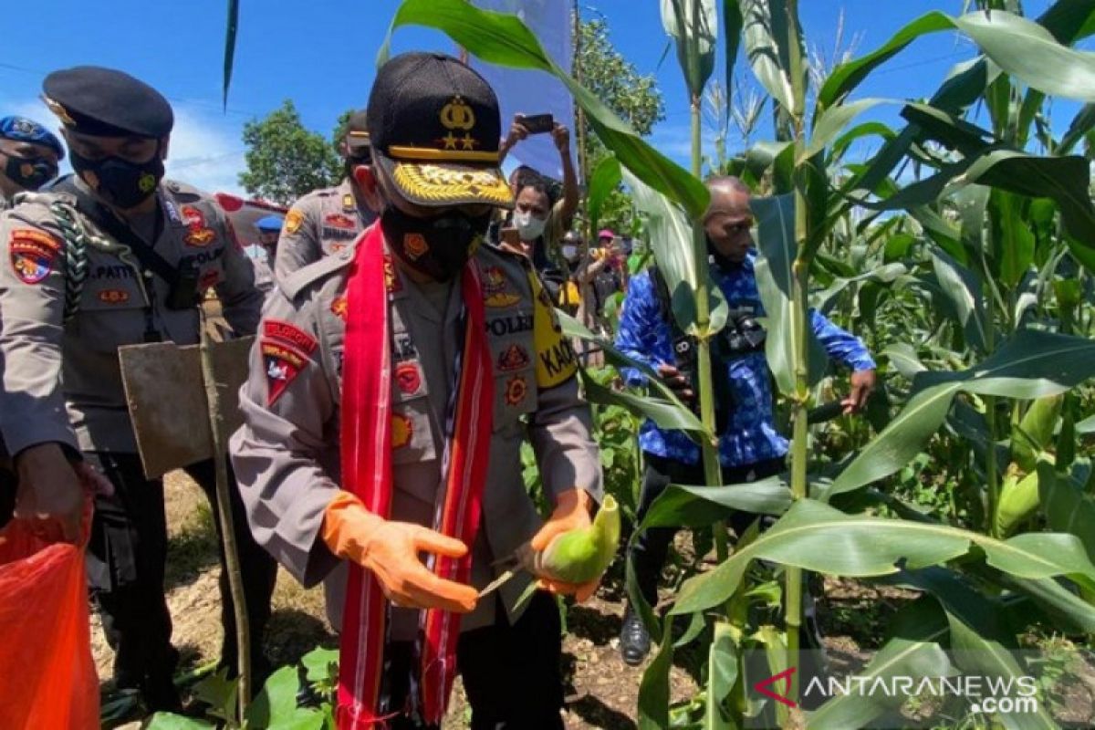 Kapolda Maluku: Kampung Tangguh dukung masyarakat hadapi pandemi COVID -19