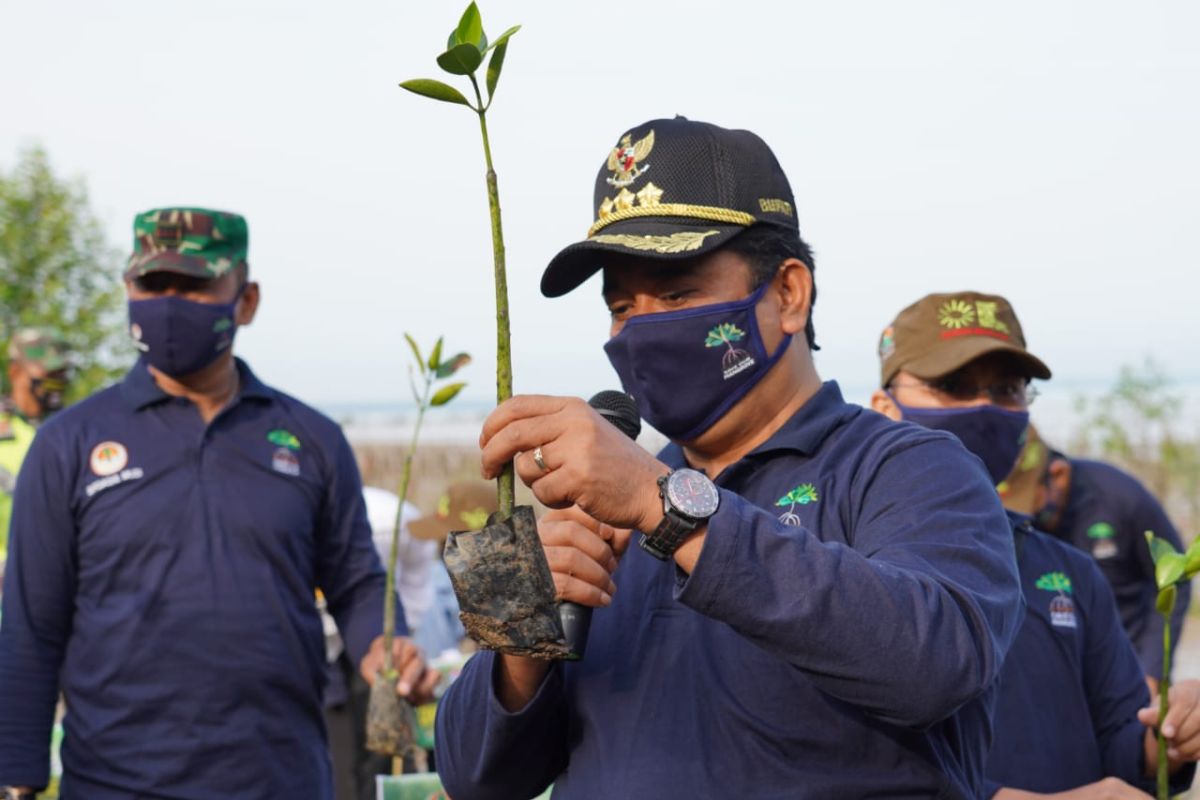 629 warga pesisir Sumsel ikut program padat karya tanam mangrove