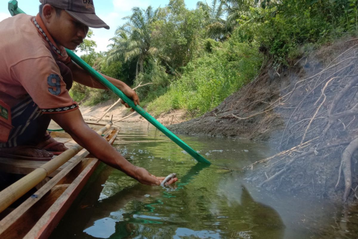 Walhi Lampung: Pencemaran di Sungai Way Sekampung kejahatan lingkungan serius