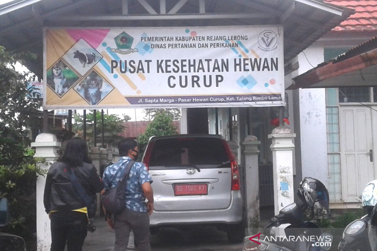 Puskeswan minta warga Rejang Lebong waspadai gigitan HPR