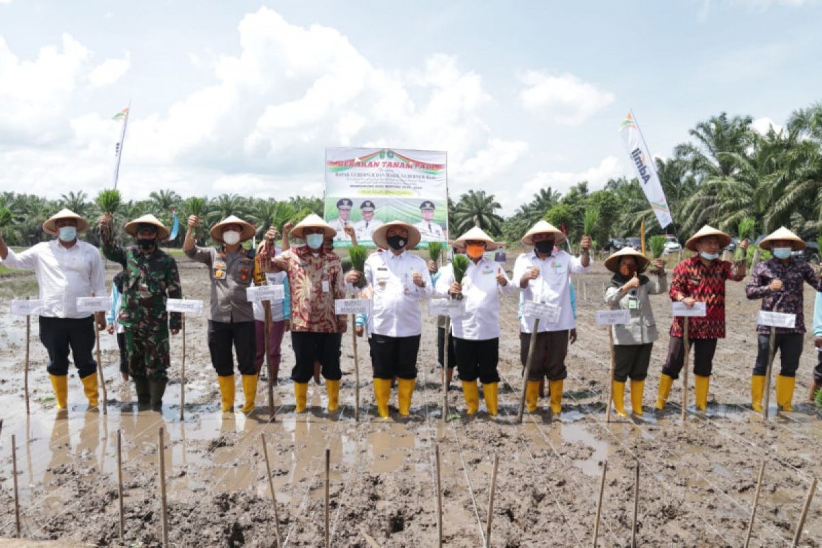 Kebutuhan beras di Kabupaten Bengkalis baru capai 14.039 ton