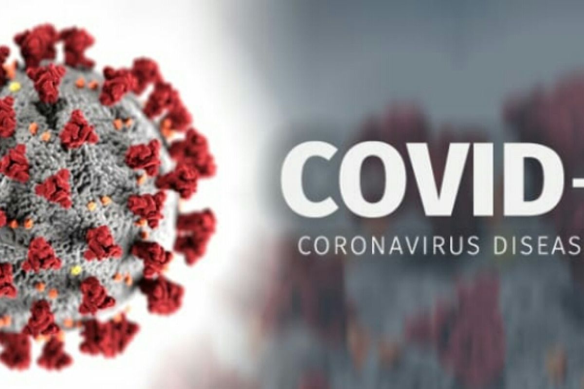 11 pasien dinyatakan sembuh  COVID-19 di Bengkalis