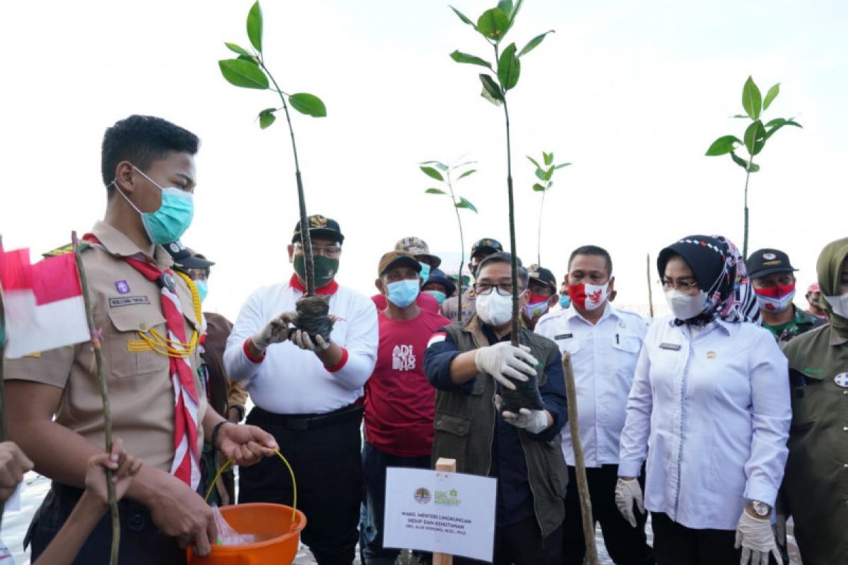 Wamen LHK Tinjau program PKPM di Sulawesi Tenggara