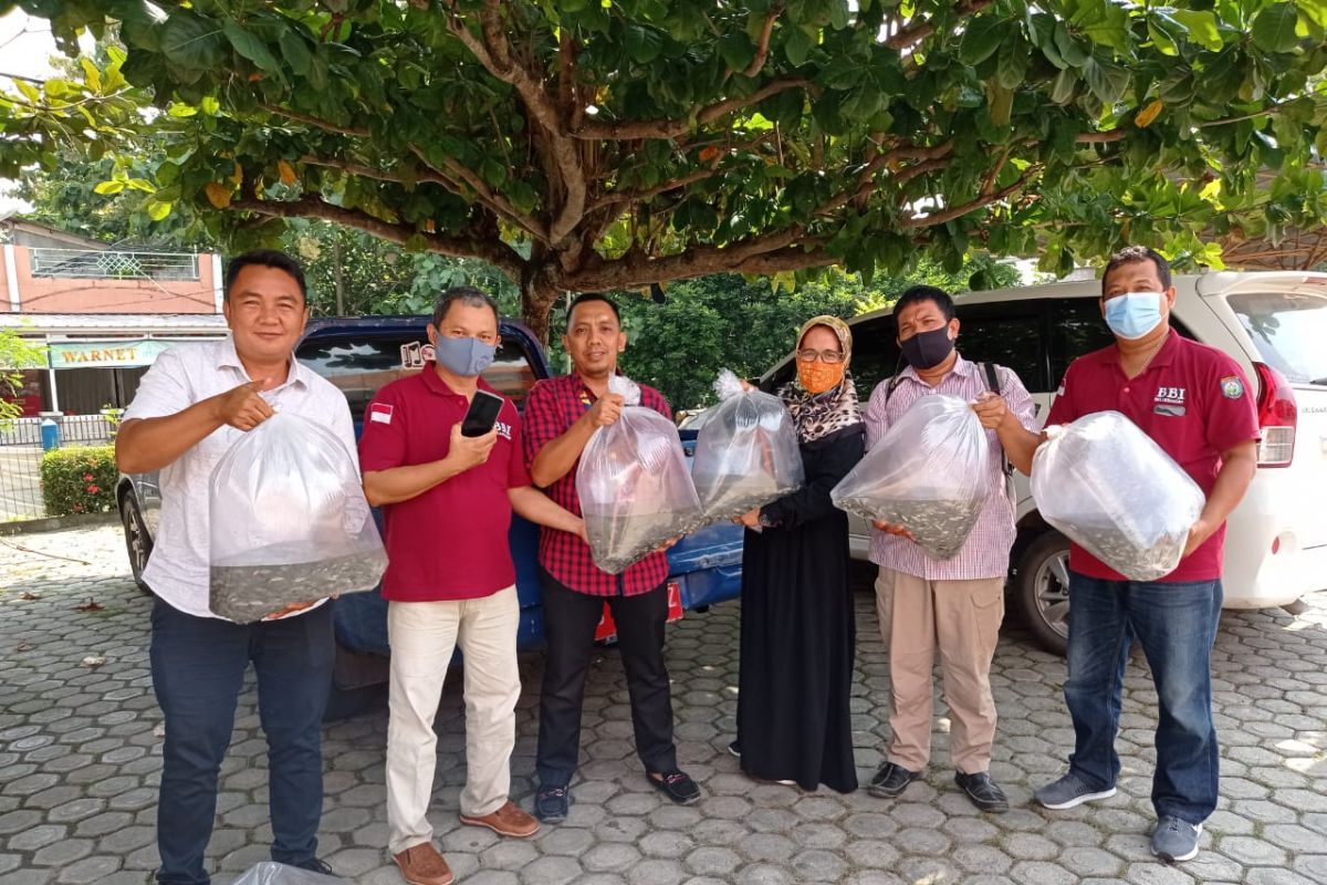 Unbara dapat bantuan 3 ribu benih  ikan nila