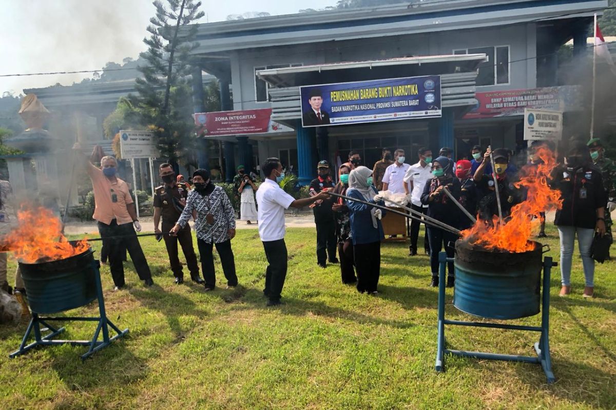 BNNP Sumatera Barat musnahkan 53,1 kilogram ganja barang bukti