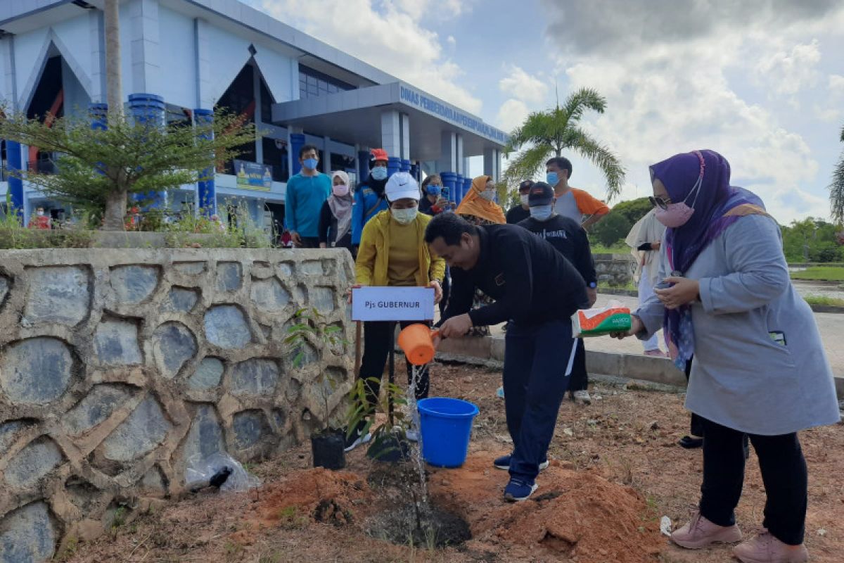 Kepri upayakan penanaman 1 miliar pohon kelapa