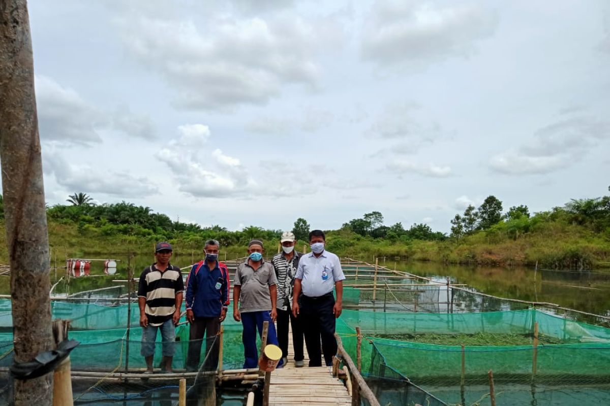 Indocement bantu petambak air tawar manfaatkan lokasi eks tambang