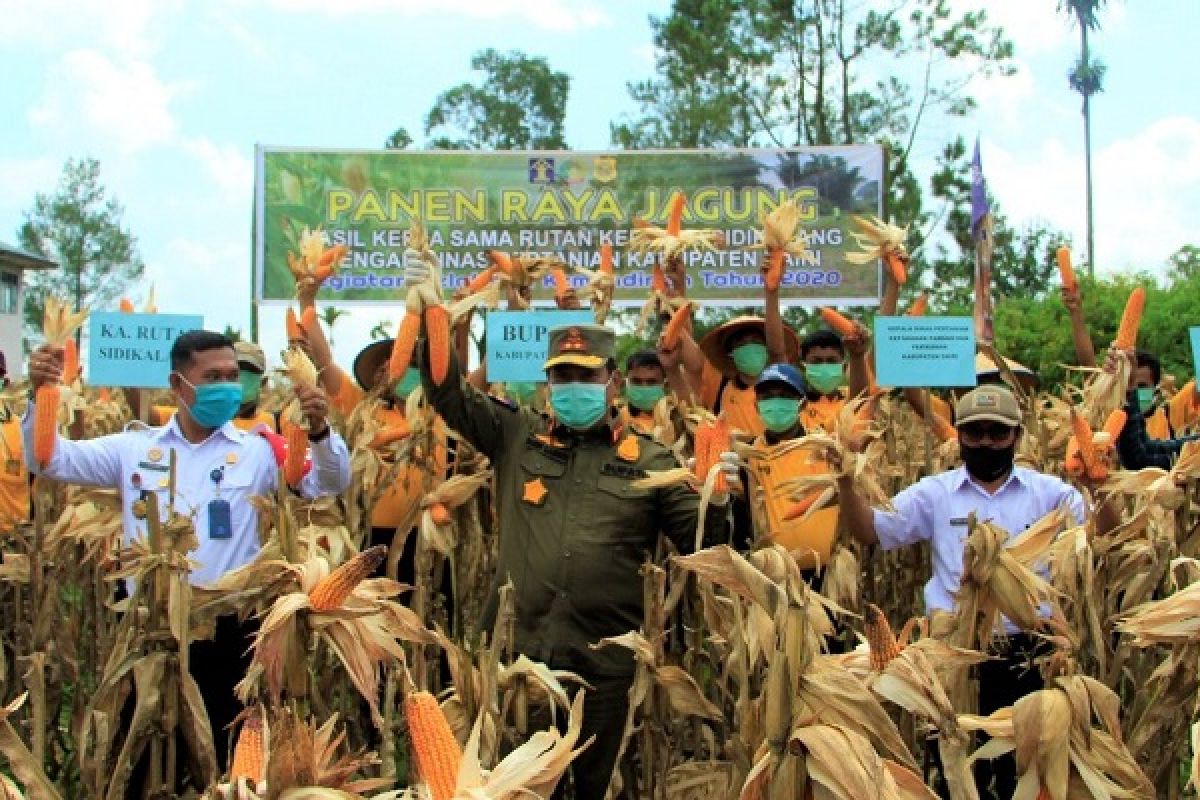 Pemkab Dairi apresiasi panen jagung oleh Rutan Sidikalang