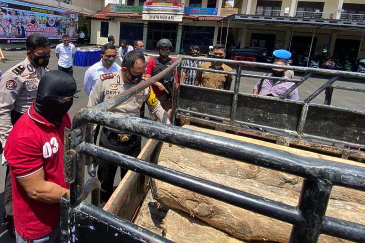 Tebang pohon milik Perhutani, warga Cilacap terancam lima tahun penjara