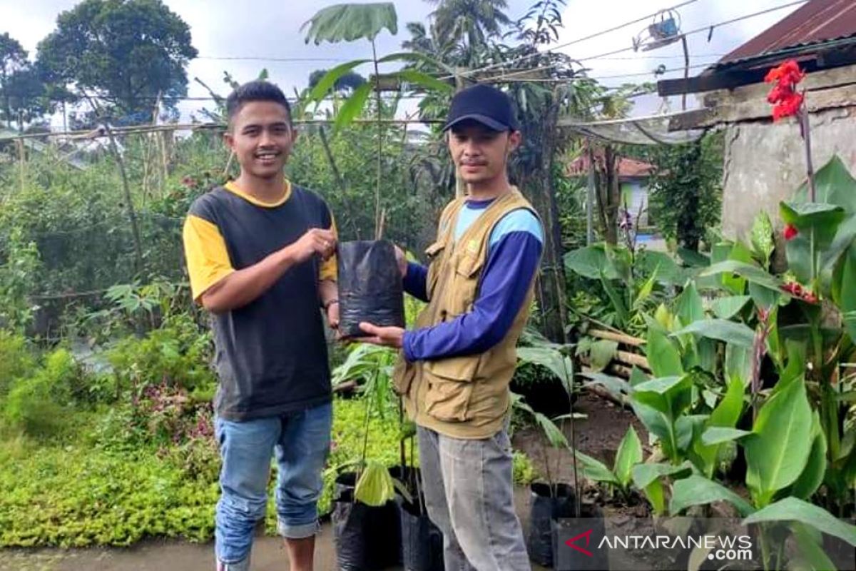 Desa di Rejang Lebong kembangkan tanaman aren