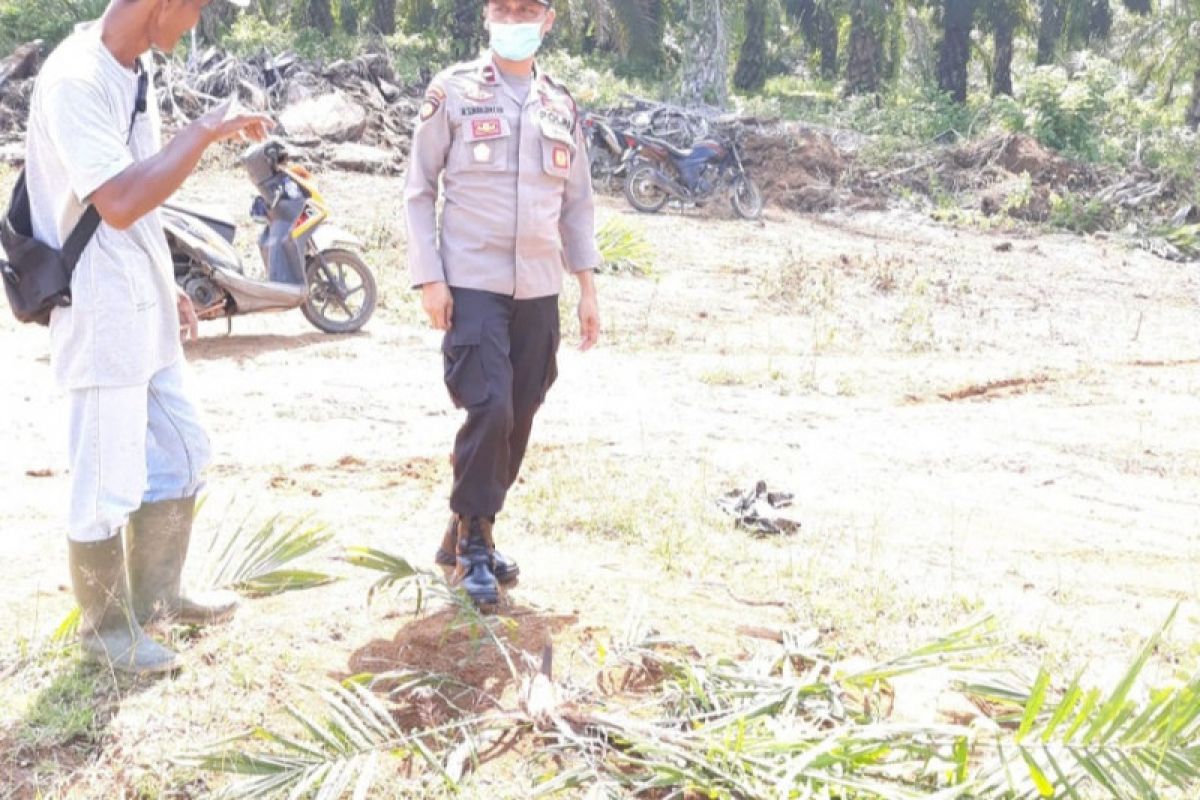 Polisi selidiki pelaku perusakan tanaman sawit perusahaan