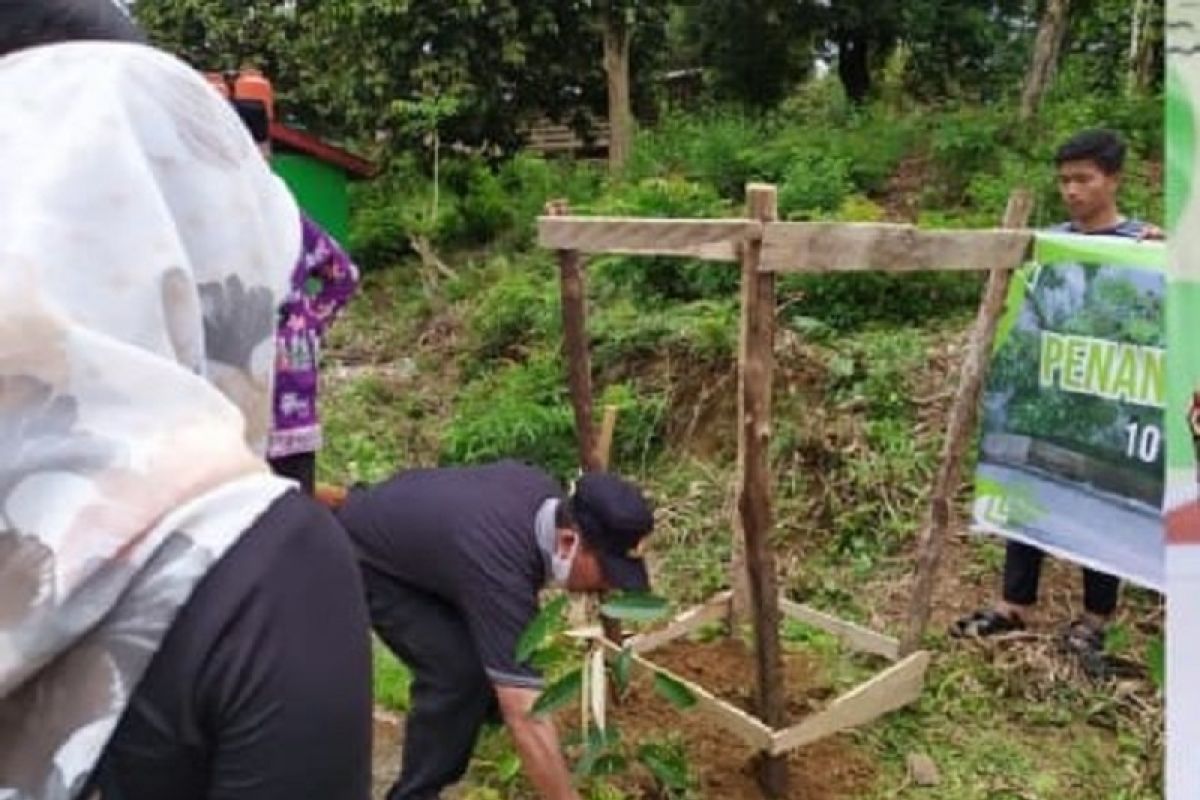 Universitas Jambi gulirkan manajamen pohon buah asuh