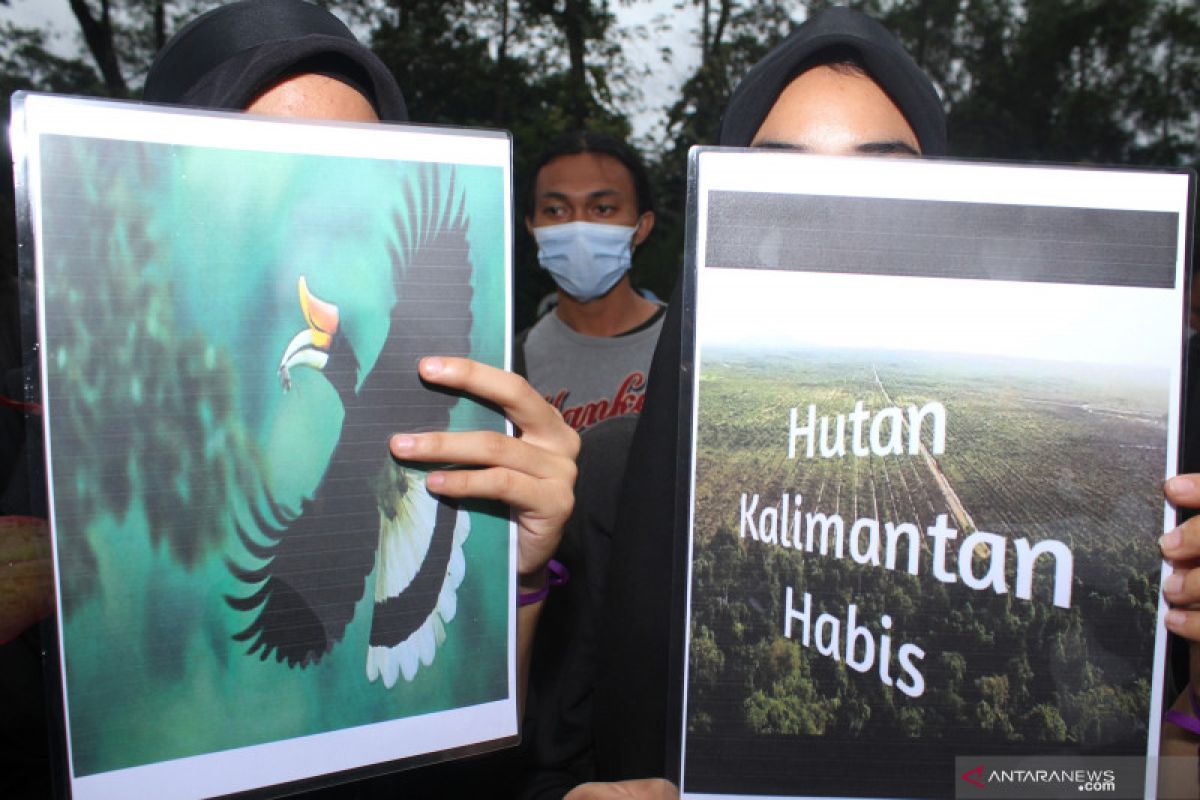 Pemprov Kalbar berupaya tekan lajunya deforestasi dan degradasi hutan