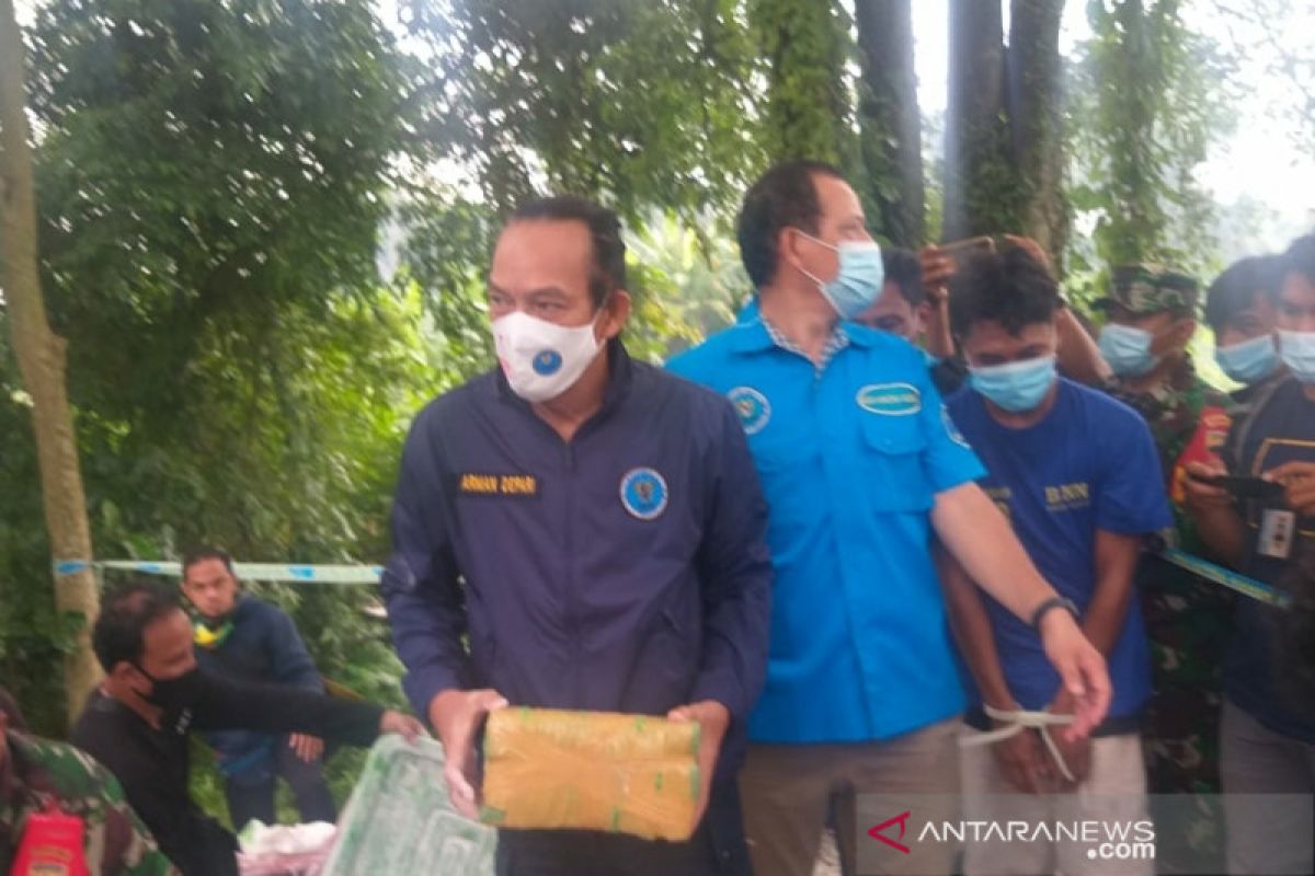 BNN: 141 kg ganja asal Aceh akan diedarkan di Sumut