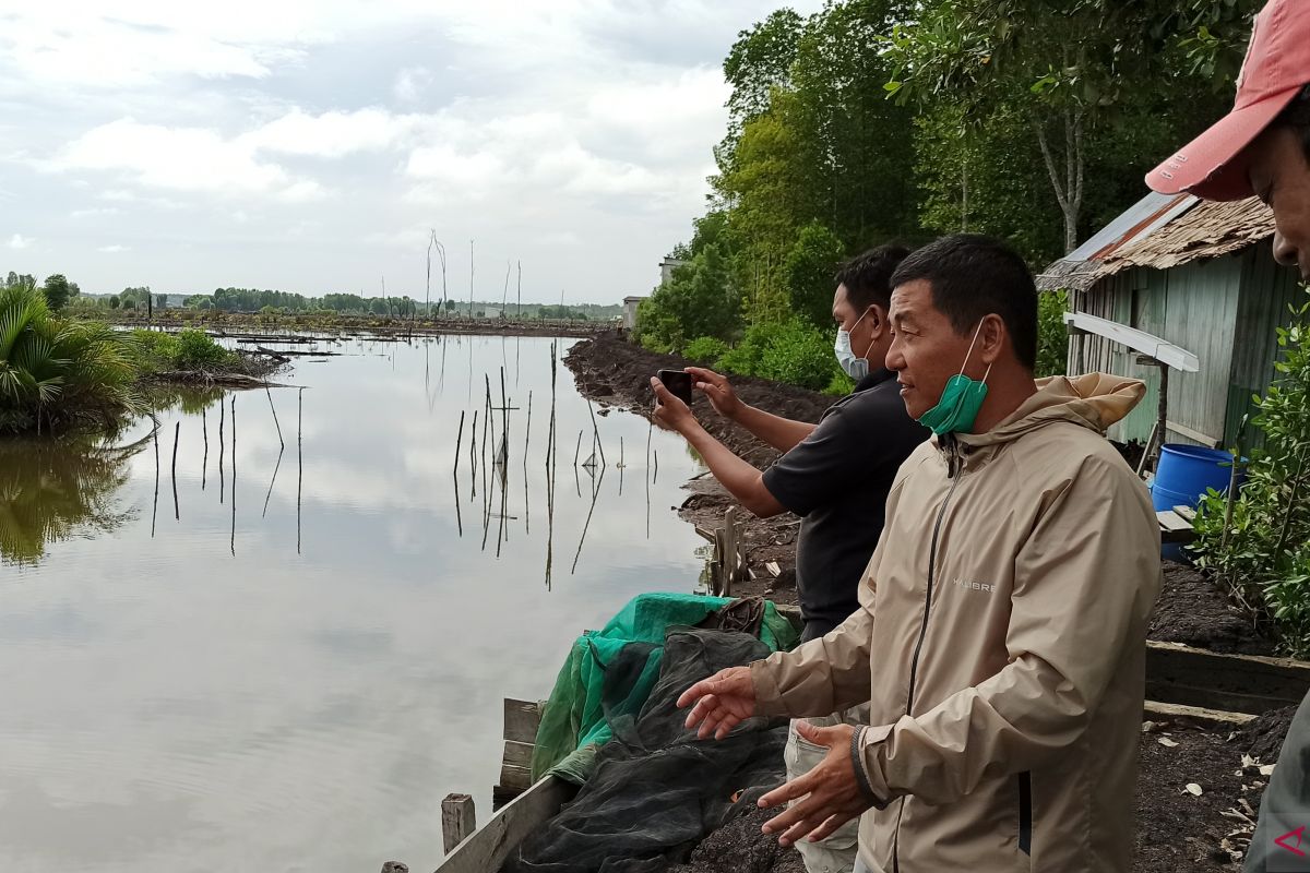 Kurniansyah Akui Terus Berupaya Perbanyak Tambak Silvofishery