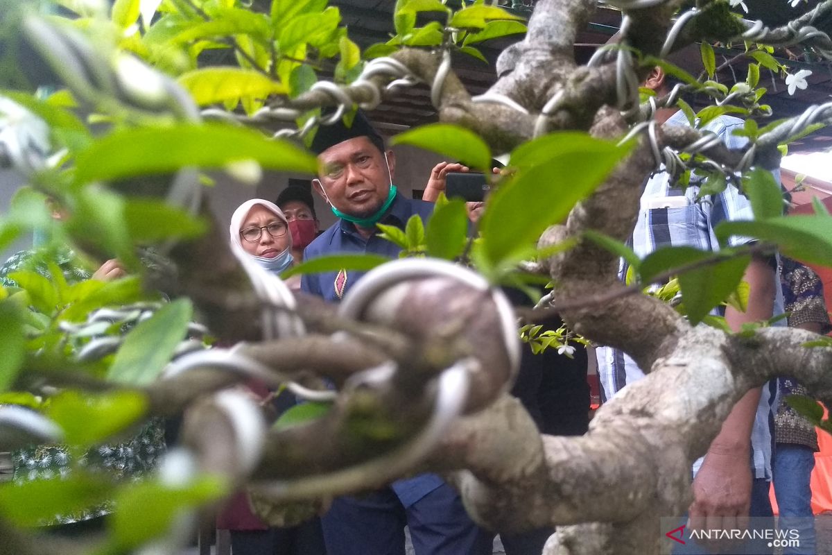 Wabup Penajam kukuhkan Solidaritas Bonsai Paser-PPU