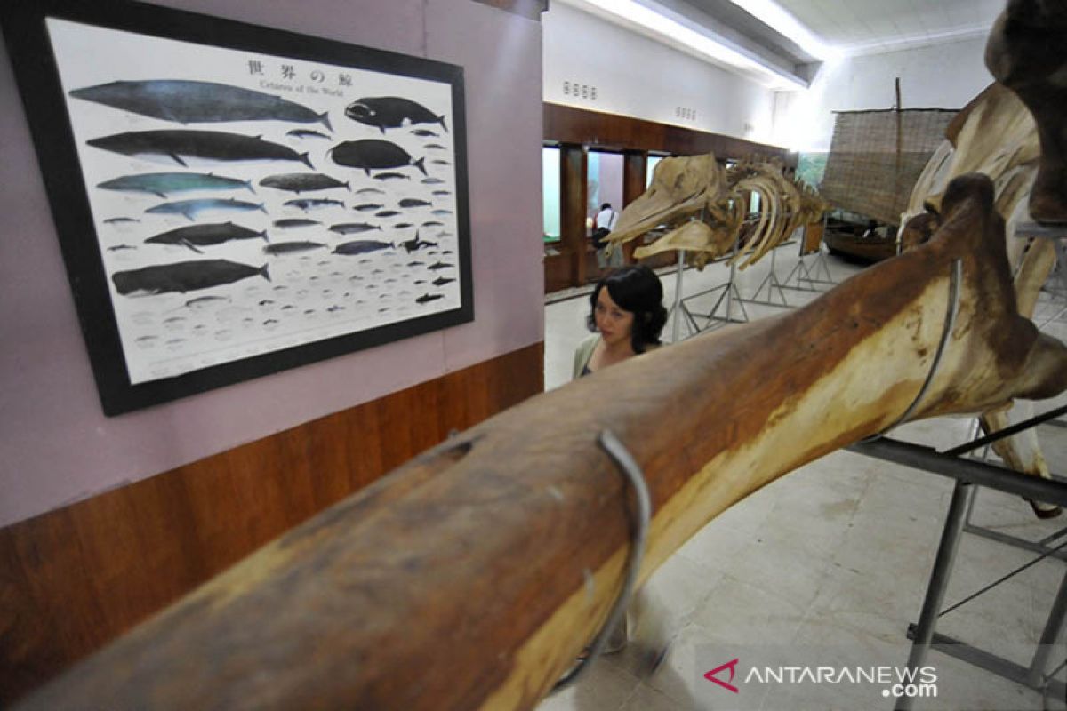 Museum Siwalima pikat pengunjung lewat kreativitas tradisional