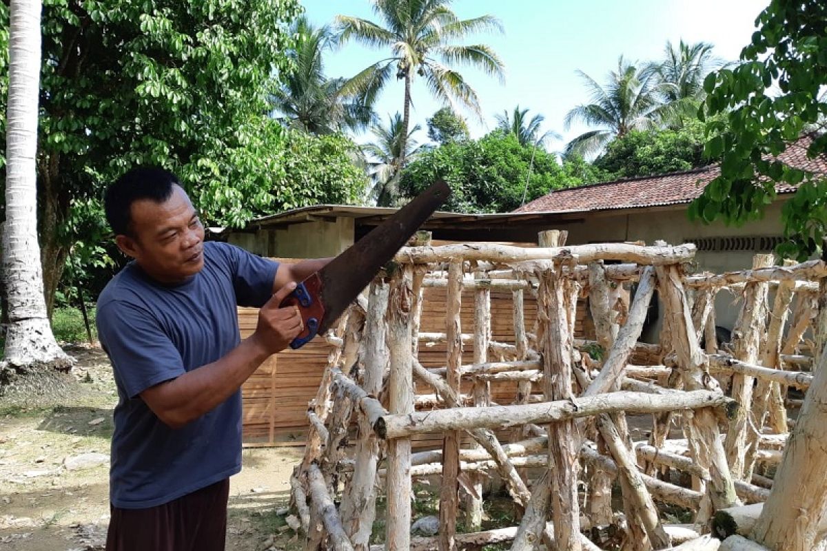 PT Timah tebar 101 rumah ikan di laut Bangka