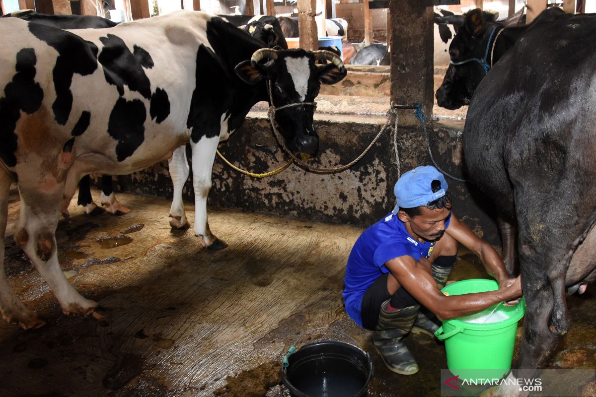 Kementan siap libatkan pelaku usaha tanggulangi penyakit zoonosis