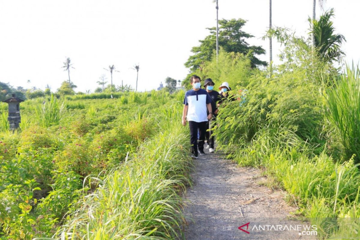 Klungkung matangkan konsep Desa Wisata Tihingan