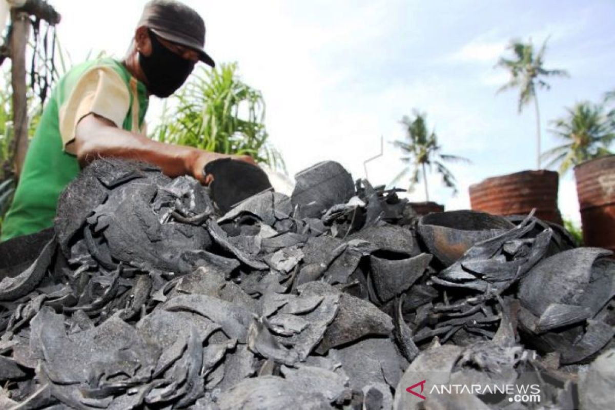 Permintaan arang tempurung di Aceh untuk kebutuhan briket meningkat