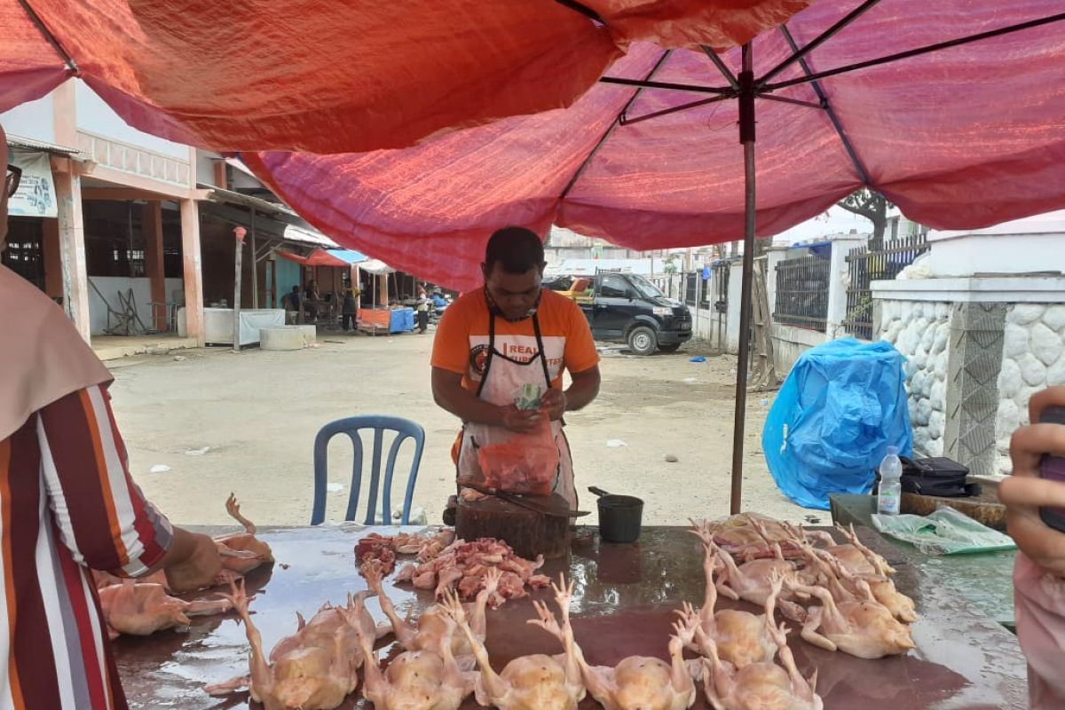 Maulid Nabi, harga ayam kampung di Lhokseumawe melonjak tajam