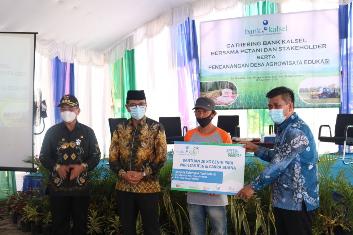 Bank Kalsel sinergikan program pemerintah daerah dengan sektor pertanian