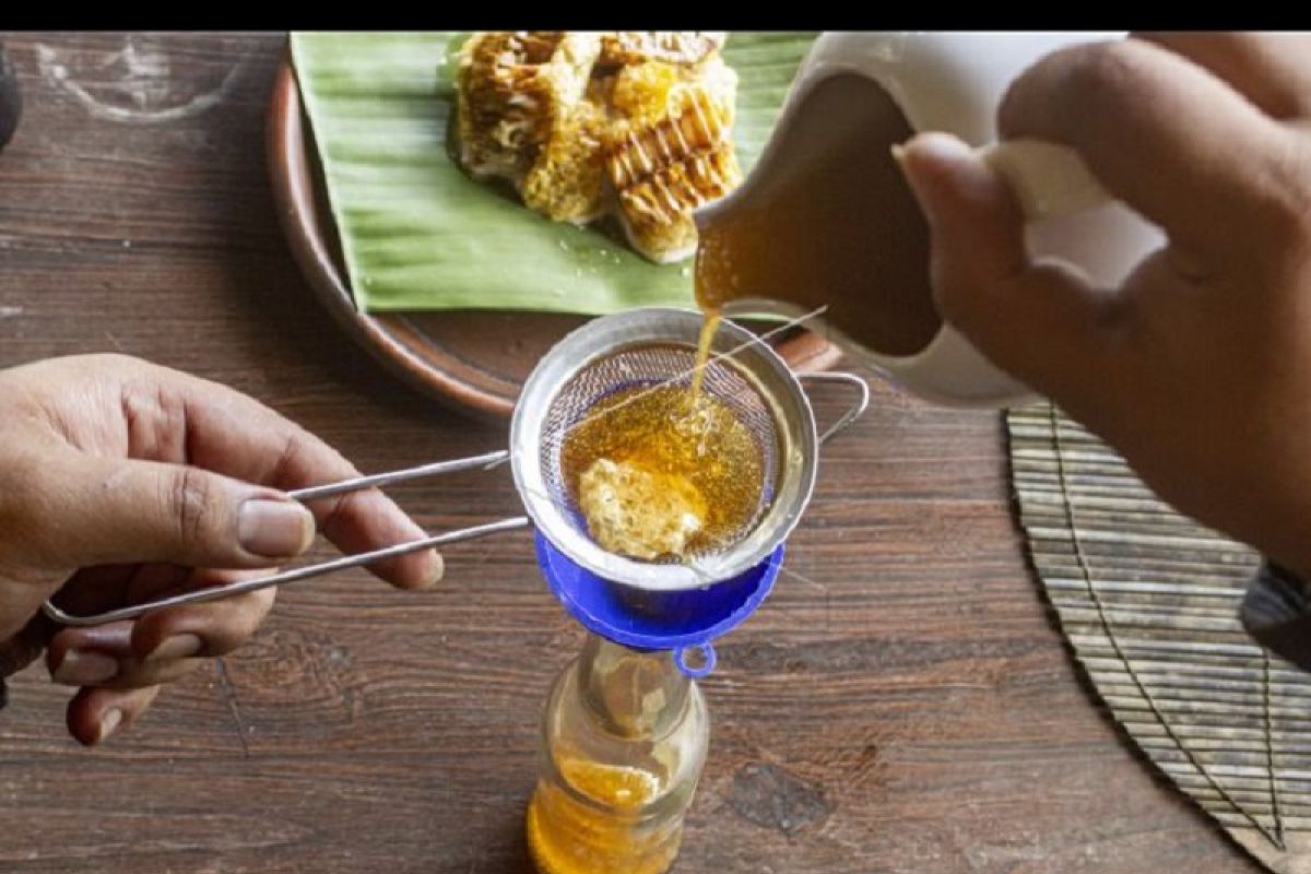 Berikut cara mudah tes madu murni atau tidak