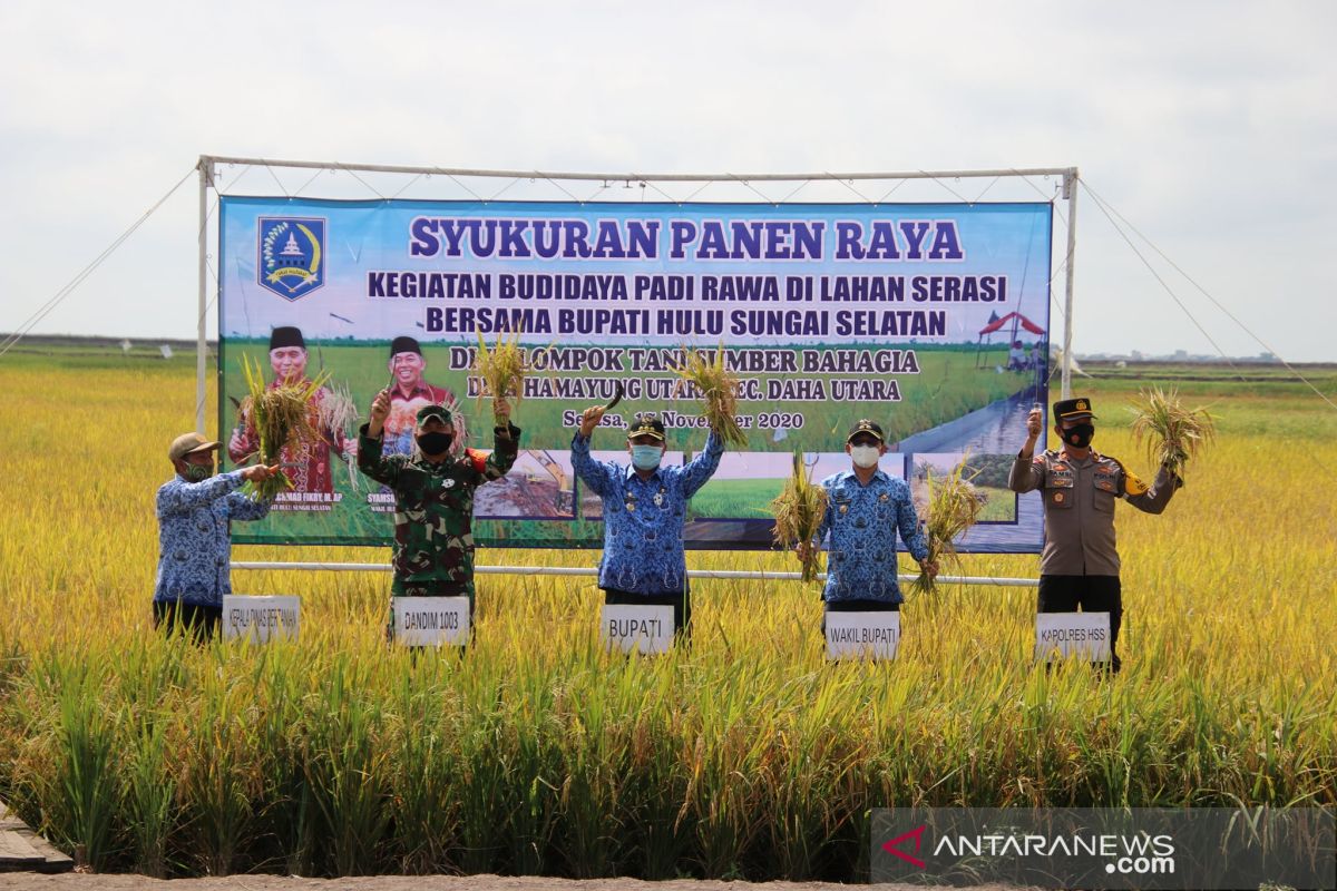 Bupati HSS hadiri syukuran panen raya padi rawa