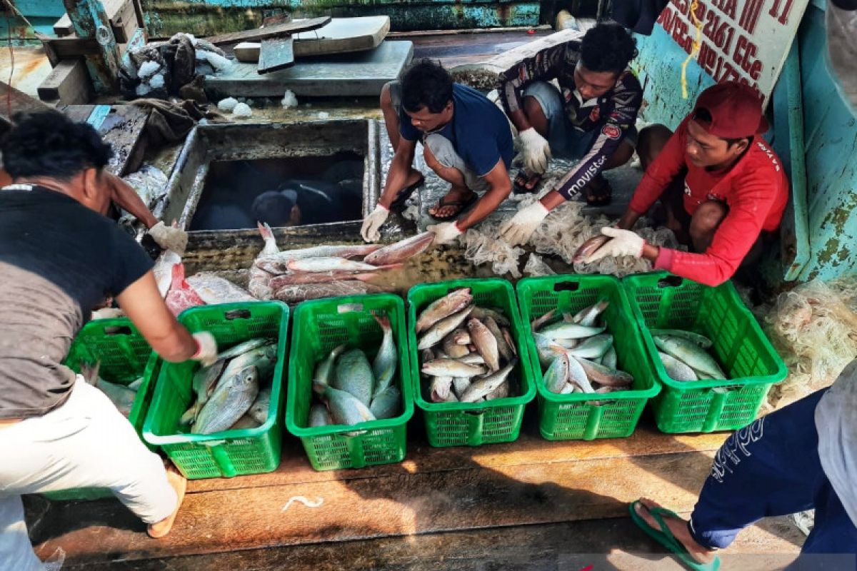 Nelayan Natuna panen  ikan jelang musim utara