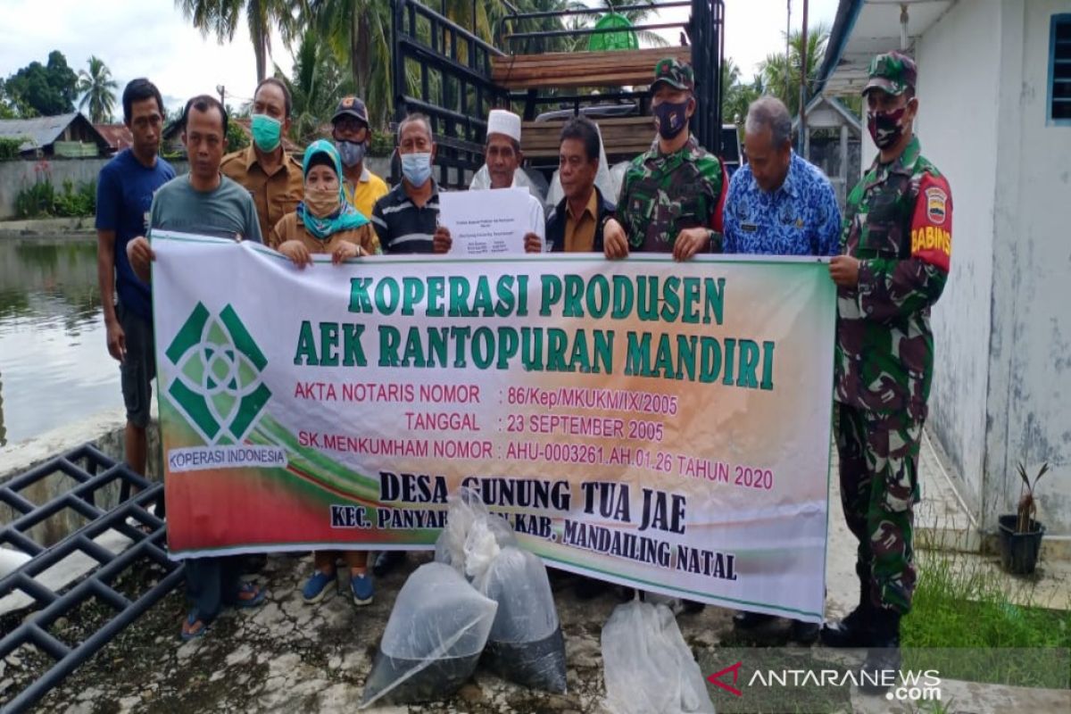 Lima kelompok di Madina dapat bantuan bibit ikan