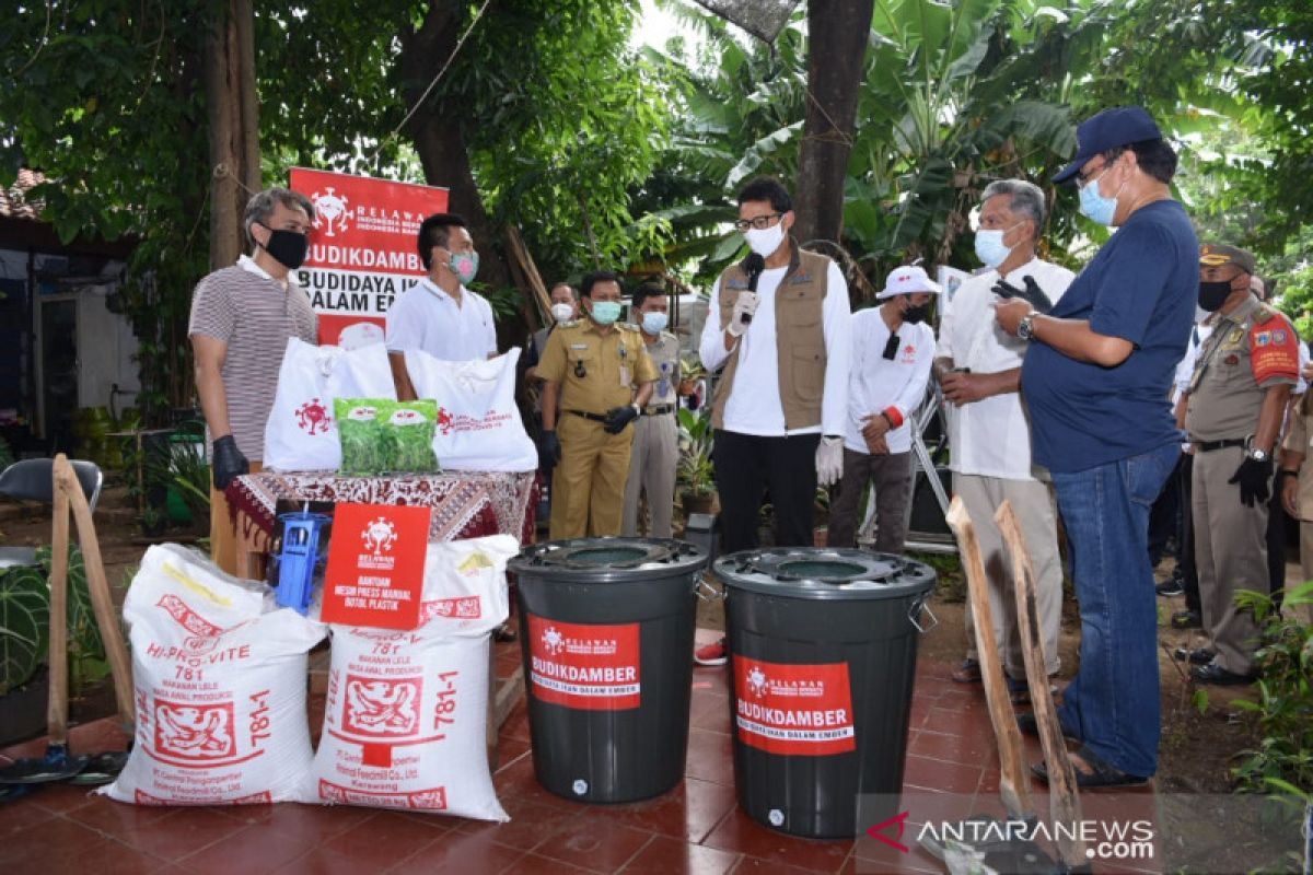 Sandiaga perkenalkan urban farming di Pulogadung