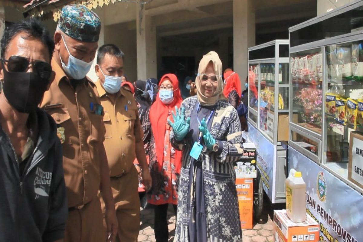 Dekranasda Langkat salurkan bantuan UMKM dari Dekranasda Sumut