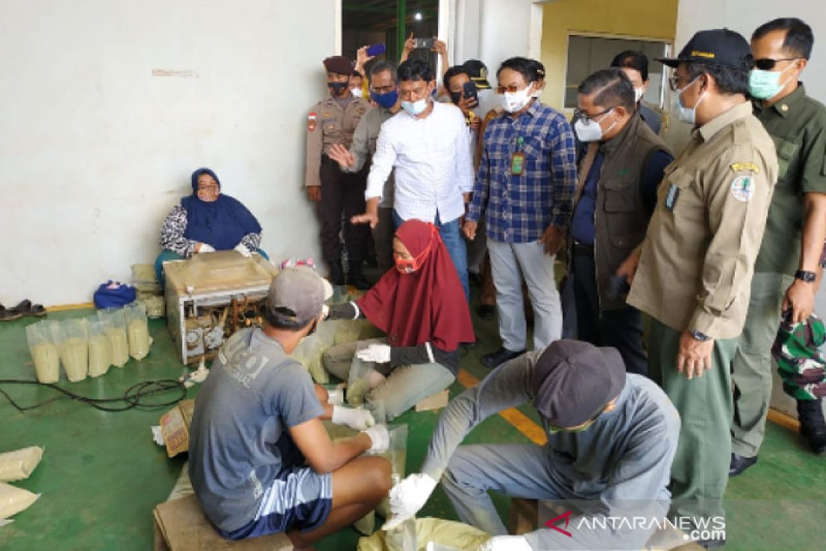 Wakil Menteri Lingkungan Hidup tinjau pabrik pengolahan daun kratom