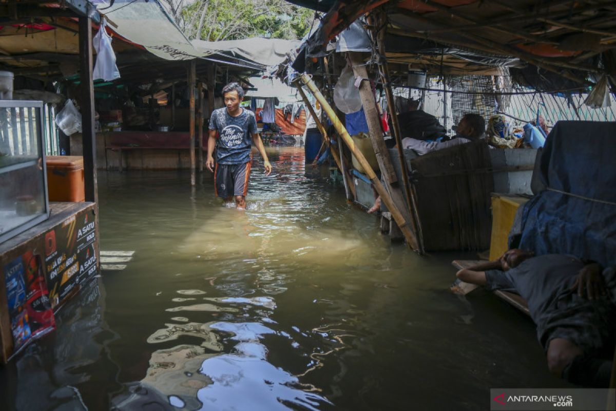 SDA DKI sebut banjir rob capai Kebon Jeruk dan Grogol Petamburan