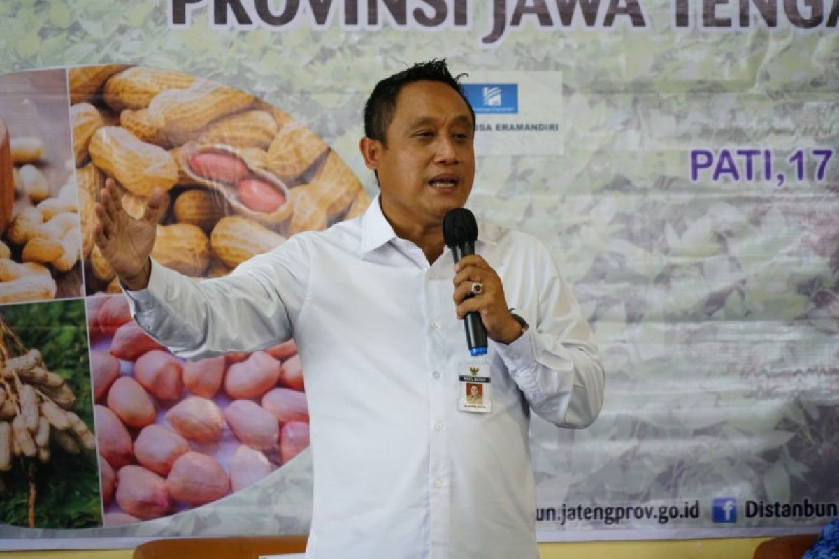 Petani Pati didorong tanam kacang  tanah karena jadi komoditas ekspor