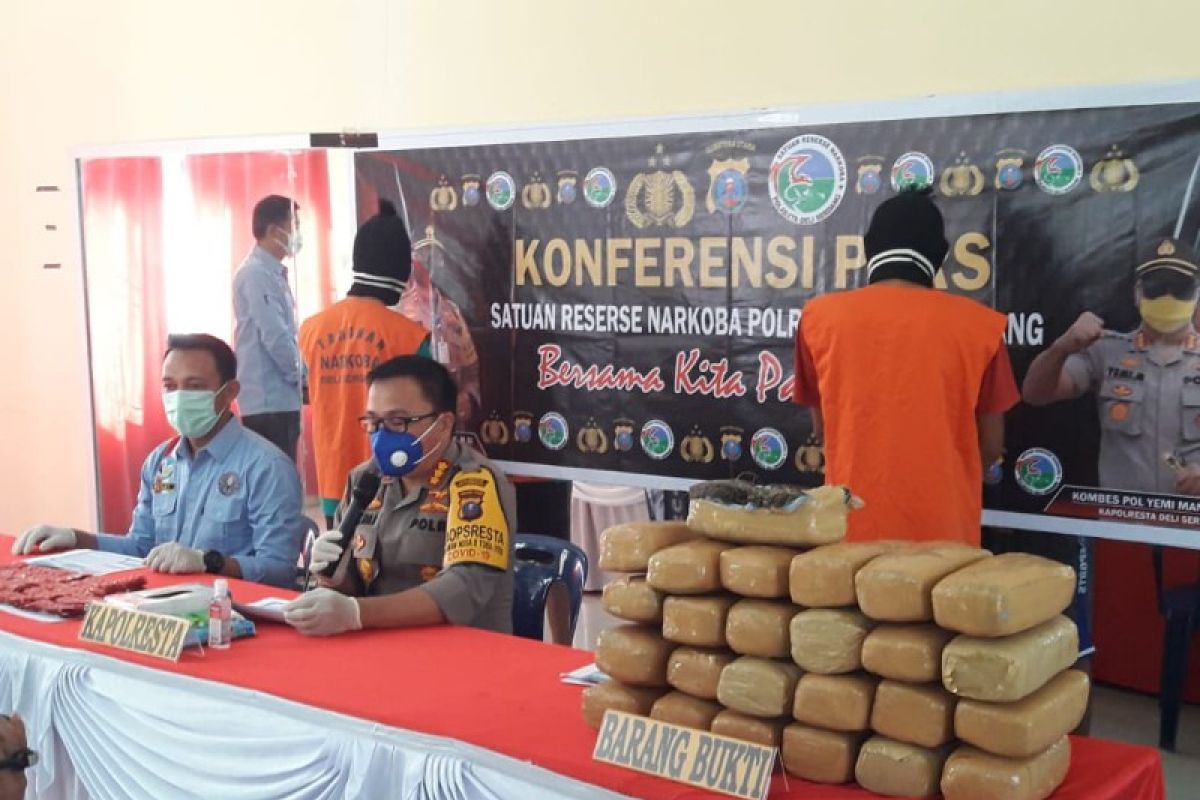 Polesta Deli Serdang gagalkan peredaran 26 kilo ganja asal Aceh