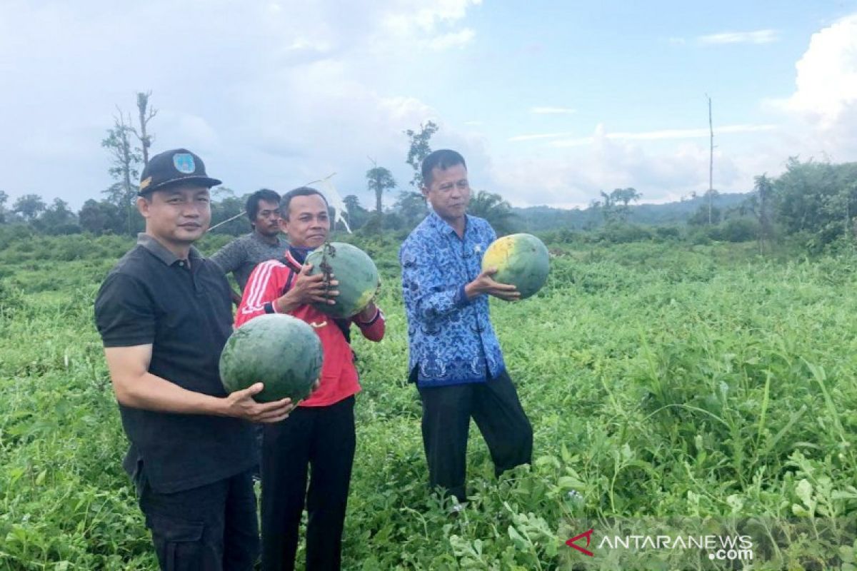 Optimalkan pemanfaatan lahan guna tingkatkan kesejahteraan, kata Wabup Lamandau