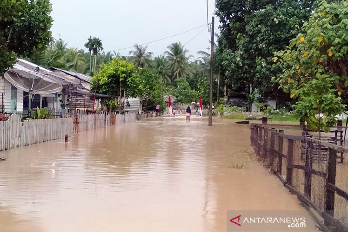 Sebanyak 206 rumah terendam banjir di Aceh Timur