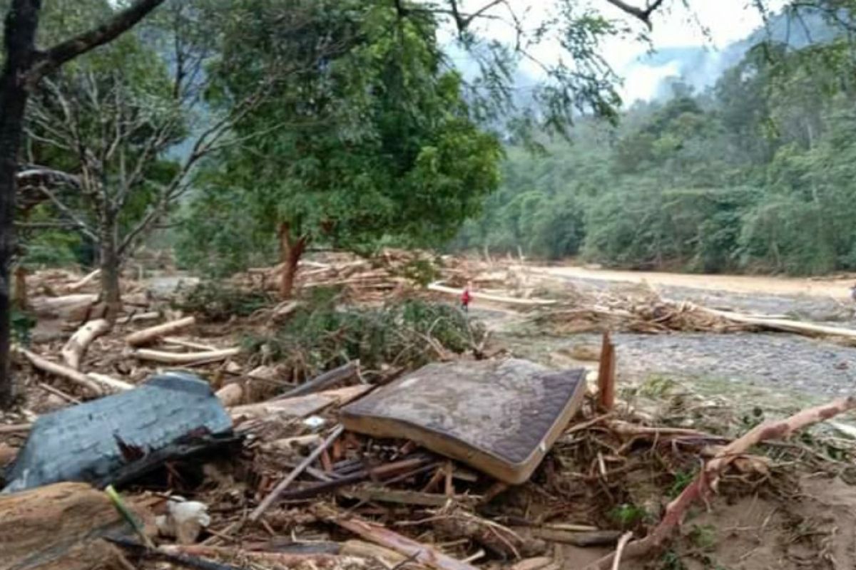 Banjir bandang di Kabupaten Langkat hanyutkan pohon kayu