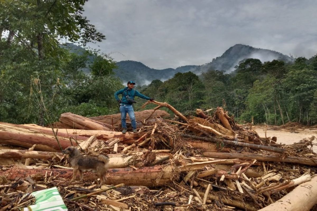 Berikut dampak banjir bandang Bahorok