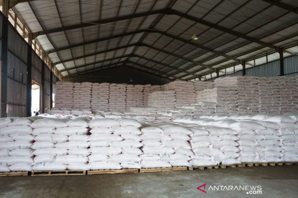 Parimo dapat jatah 3.250 ton pupuk kakao dari perusahaan mitra