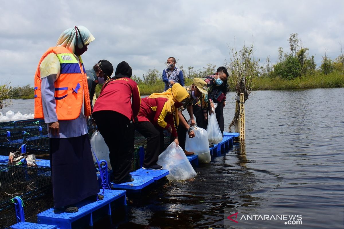 Palangka Raya lepas 91,5 ribu bibit ikan di Danau Hanjelutung