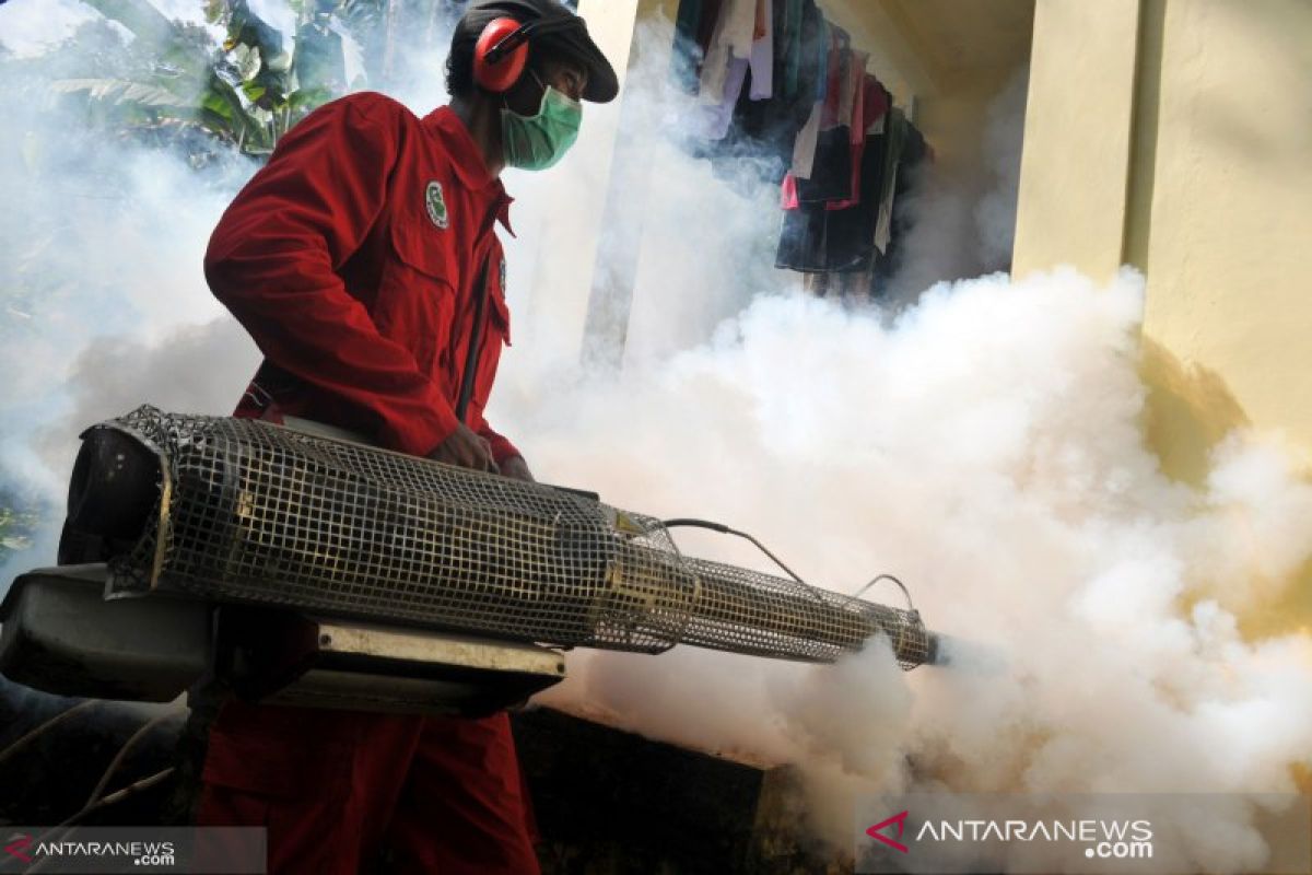 Tiga pasien DBD Pekanbaru meninggal, warga diimbau waspadai musim penghujan